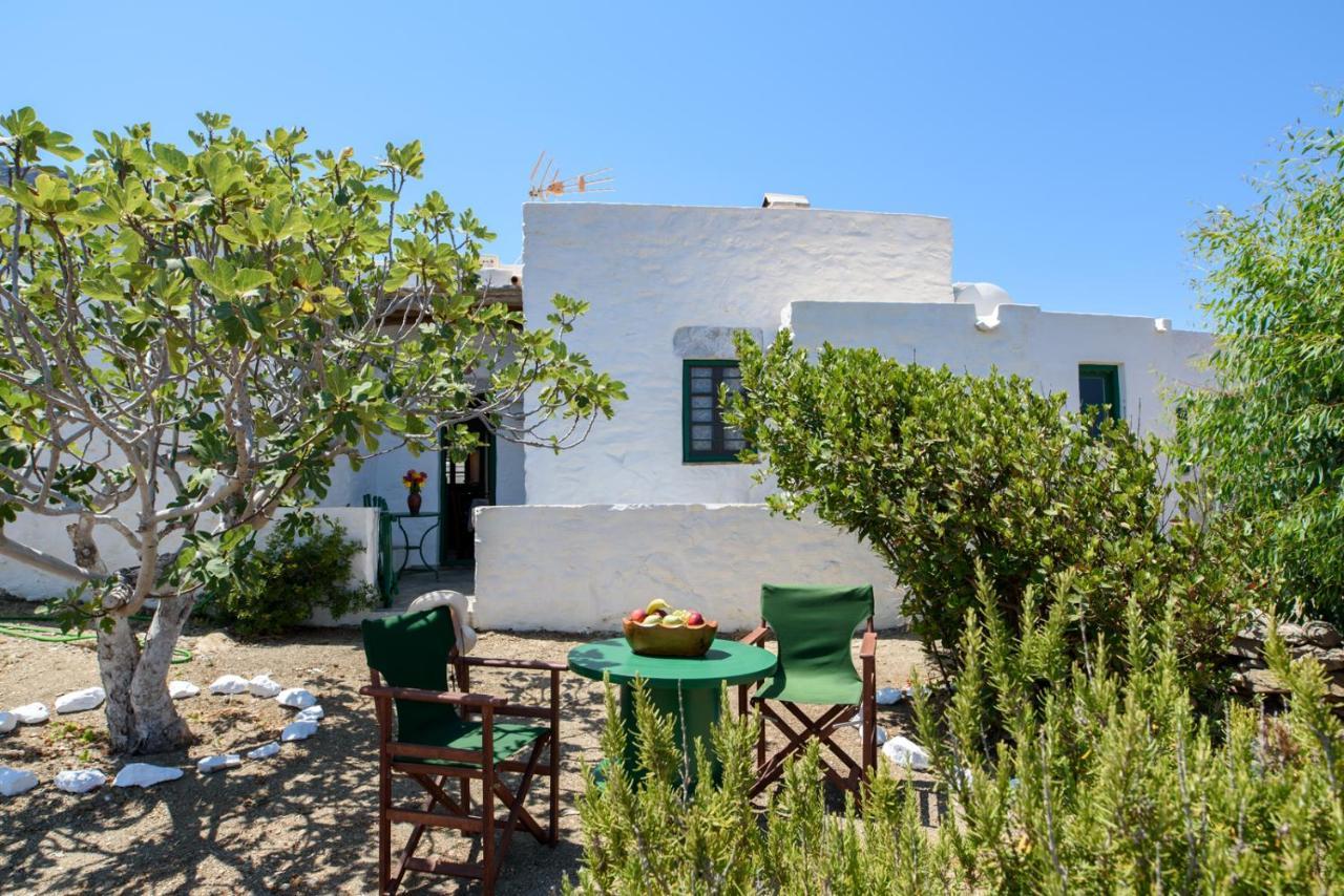 Villa Itonia House Amorgos Exterior foto
